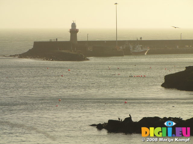 SX00418 Dunmore East Lighthouse and Cormorants